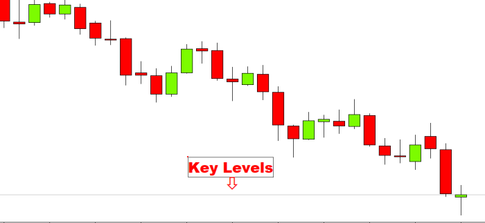 Bank Level Forex Indicator MT4 Free Download - FXCracked