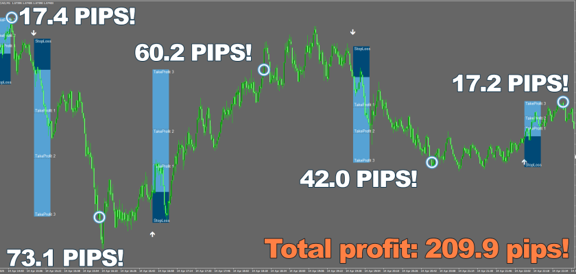 Forex Viking has the most incredible algorithm among all Forex tools? Well, I believe it is time to prove that. Do you see these breathtaking 209.9 pips on M1 timeframe? Impressive