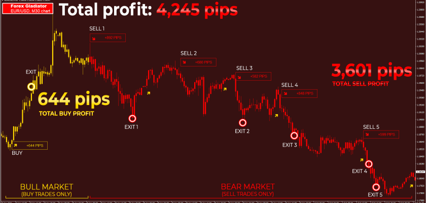 Have you ever seen the software win over and over and over and over again like this. it goes straight for the kill! 4,245 pips on EUR:USD, M30 timeframe - and all of this can be your reality!