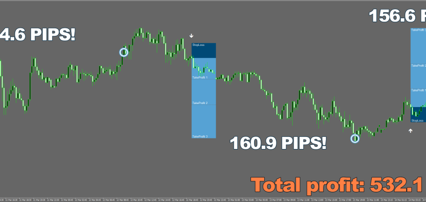 With adaptive TakeProfit levels of Forex Viking you can forget about ever leaving even a single cent unclaimed! Such precision cannot be duplicated by any other tool other than Forex Viking